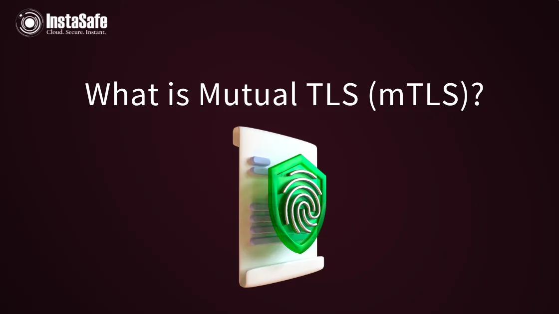 What is Mutual TLS (mTLS)?