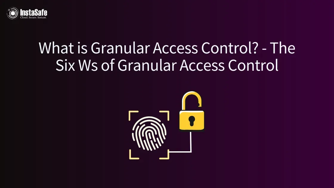 What is Granular Access Control?