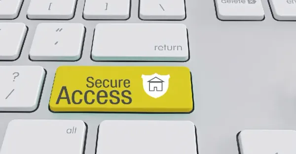 The What, How, When of Remote Workforce Security