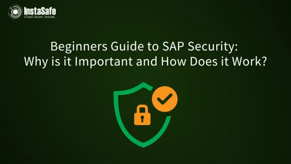 Beginners Guide to SAP Security: Why is it Important and How Does it Work?