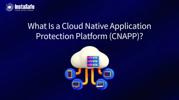 What Is a Cloud Native Application Protection Platform or CNAPP?