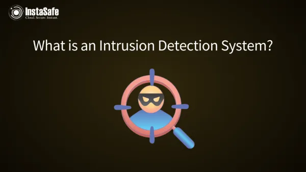 What is an Intrusion Detection System?