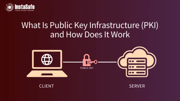 What Is Public Key Infrastructure (PKI) and How Does It Work?