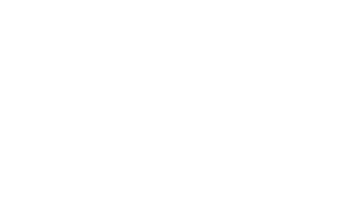 MD Consulting